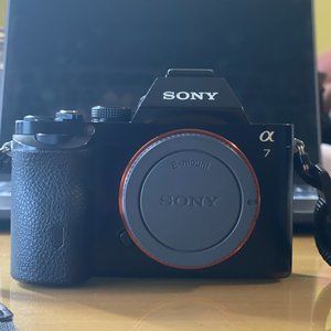 Sony a7 w/ 64 gb sd card and battery